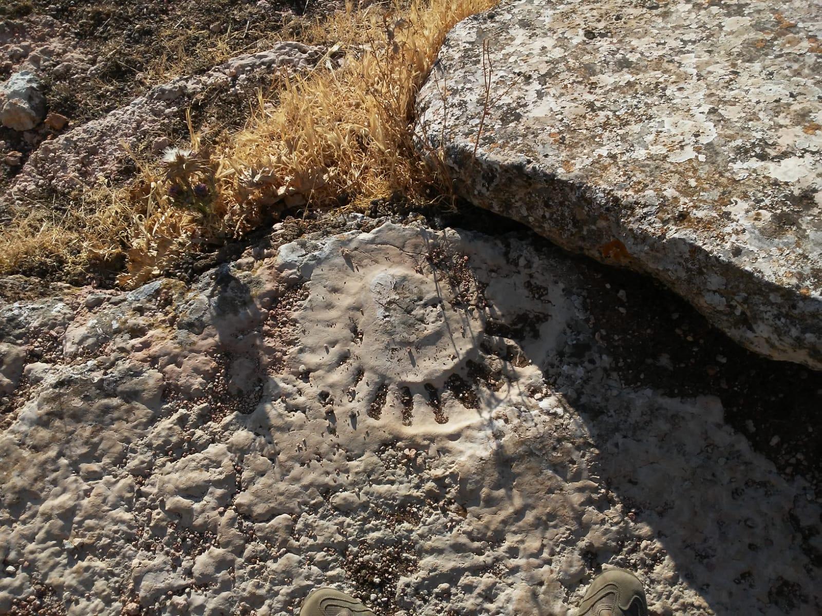 Coso Viejo Antequera